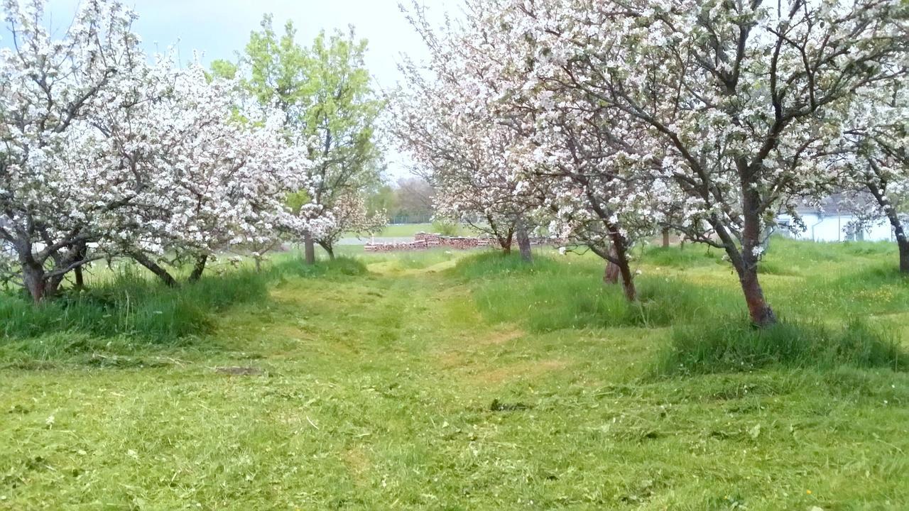 Safar Residence Hrachoviste Экстерьер фото